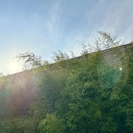 Le Patio De Loiseau لو مان