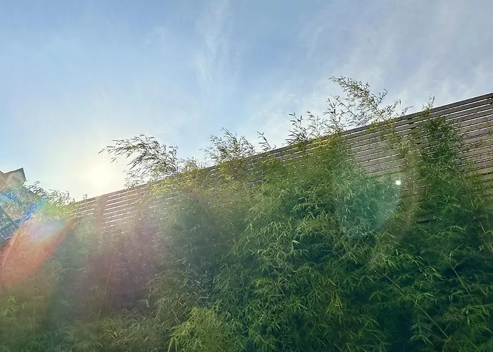 Le Patio De Loiseau Le Mans